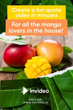 mangoes and pomegranates with the words, create a fun quote video in minutes for all the mango lovers in the house