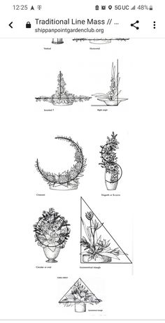 the instructions for how to make a succulent planter