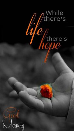 a hand holding an orange flower with the words while there's life, there's hope