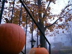 two pumpkins sitting next to each other in front of a fence with a tree