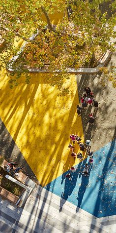 an aerial view of people walking in the park