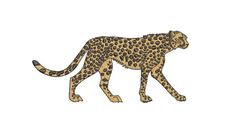 a drawing of a cheetah walking