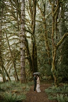 a bride and groom standing under an umbrella in the woods on a path surrounded by trees