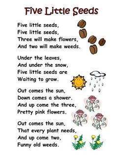 five little seeds poem with flowers and raindrops