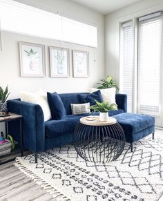 a living room with blue couches and white rugs on the hardwood flooring