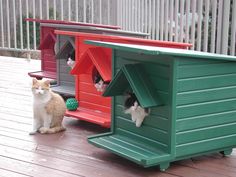 two cats are sitting on the deck next to their cat houses and one is looking at the camera