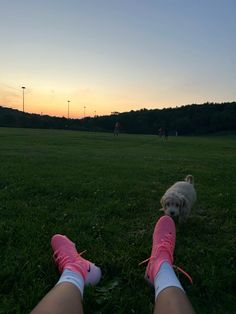 a person with pink shoes and a dog on the grass at sunset or dawn in a park