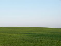 a person flying a kite in the middle of a large green field with blue sky