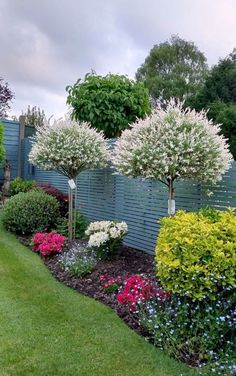 the garden is full of colorful flowers and trees, including white flowering shrubs with green leaves