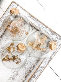 three glass ornaments with dried herbs in them