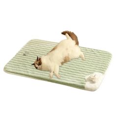 a cat is playing with a toy on a mat in the shape of a mouse