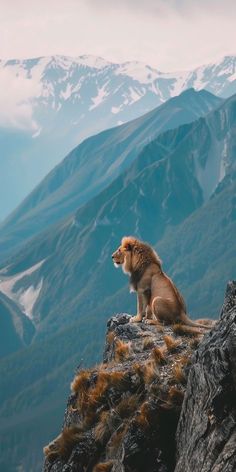 a lion sitting on top of a mountain with snow capped mountains in the background,