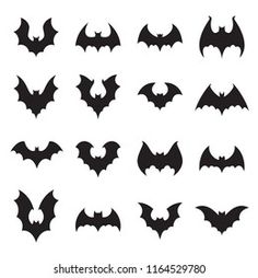 the silhouettes of bats in different shapes and sizes, all black on white background