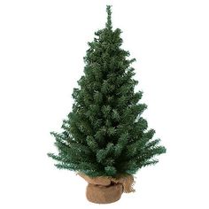 This 12" Un-Lit Miniature Pine Christmas Tree from Kurt Adler is a charming addition to any holiday decor! Features a classic Christmas tree in a fun miniature design. Includes a burlap wrapped base for a rustic touch. This tree is Un-Lit, leaving you free to use your own lighting design, as well as your favorite ornaments and treetop! Size: One Size.  Color: Green. Miniature Design, Pine Christmas Tree, Classic Christmas Tree, Miniature Christmas Trees, Kurt Adler, Miniature Christmas, Holiday Decor Christmas, Classic Christmas, Lighting Design