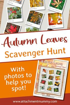 autumn leaves scavenger hunt with photos to help you spot