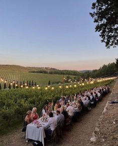 a group of people sitting at tables in the middle of a vineyard