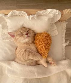 a cat sleeping on top of a bed next to a stuffed teddy bear in it's arms