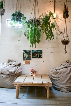 a room with plants hanging from the ceiling and a wooden table in front of it