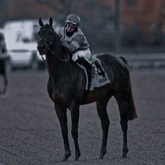 a man riding on the back of a black horse down a race track next to a white car