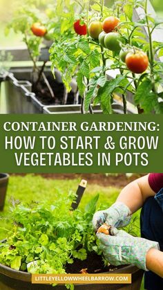 a woman gardening in her garden with text overlay that reads container gardening how to start and grow vegetables in pots