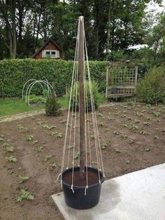 a potted plant in the middle of a garden with some plants growing out of it