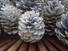 several pine cones sitting on top of a wooden table