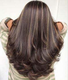 Long Dark Hair With Highlights Balayage, Carmel Highlights Dark Hair, Quarter Head Highlights, Highlights On Tan Skin, Pretty Highlights For Brown Hair, Fun Hair Colors For Brunettes, Black With Caramel Highlights, Different Brown Hair Colors Shades, Caramel Balayage On Brown Hair