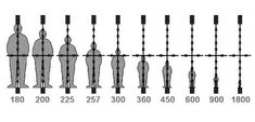 a line graph showing the height of different people in each body, from top to bottom