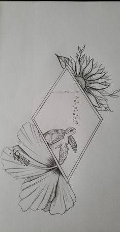 a pencil drawing of a flower and a sea turtle in a frame with an arrow