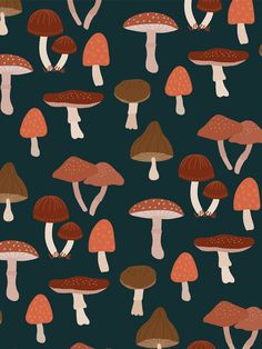 many different types of mushrooms on a black background