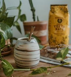 an apple shaped vase sitting on top of a wooden table next to some potted plants