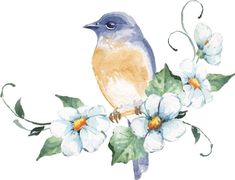 a watercolor painting of a bird sitting on a branch with white flowers