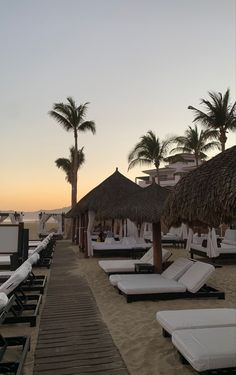 lounge chairs and umbrellas line the beach at sunset