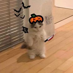 a white cat standing on its hind legs in front of a window with halloween decorations