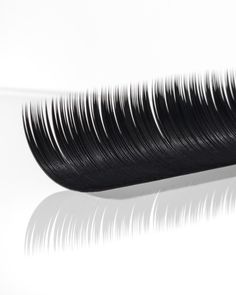 Expected Restock: January 9-15, 2025Hit the ""Notify Me"" button to be contacted as soon as these are available! Your clients want full drama lash Extensions? Choose Runway Lashes. Ultra-black silk fibers: Achieve volume and drama. Velvet sheen: Creates a luxurious, high-gloss finish. Perfect taper: Runway lashes taper 1/3 of the extension for that perfectly fluffy volume lash Effortlessly create show-stopping sets: Premium quality PBT fibers High-Gloss Faux Silk Eyelash Extensions Available in Types Of Lashes Extensions, Lash Extension Types, Lash Art, Silk Eyelash Extensions, Curl Types, Filler Photos, Esthetician Marketing, Brow Kit, Black Lashes