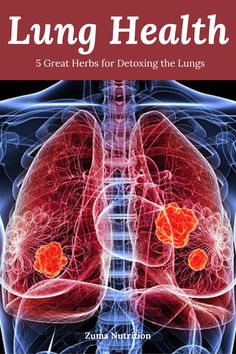 5 Great Herbs for Detoxing the Lungs Air Pollution, Pollution