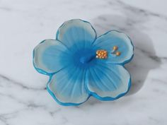 a blue flower sitting on top of a white counter