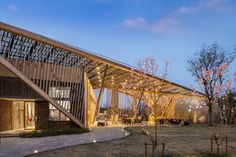 Chinese Buildings, Lecture Hall, Lecture Theatre, Timber Architecture, Concept Models Architecture, Healthcare Architecture, Bamboo Structure, Bamboo Architecture, Lectures Hall