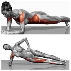 a woman doing push ups on her back with the muscles highlighted in red and white