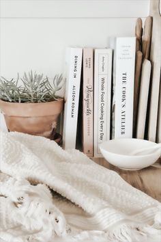 some books are sitting on a shelf next to a potted plant and a bowl