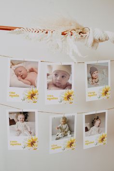 baby pictures hanging on a clothes line with sunflowers in the foreground and a white wall behind them