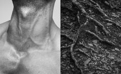 a man's back and neck are shown in black and white, with the tree roots on it