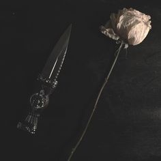 a single white rose sitting next to a knife