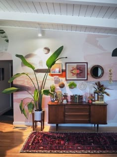 a living room with plants and pictures on the wall, including a large potted plant