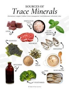 Medicinal Foods, Link Edit, Tony Hale, Functional Health, Nutritional Therapy, Healthy Food Facts, Promotional Materials, Food Charts, Trace Minerals