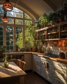 a kitchen filled with lots of potted plants next to a table and chairs in front of a large window