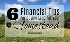 a field with the words 6 financial tips for buying land for your homesead