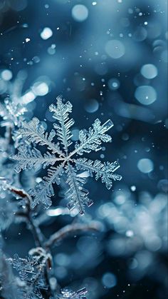 a snowflake is shown in the foreground and blurry background, with water droplets on it