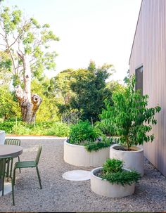 an outdoor patio with potted plants and tables in the foreground, next to a building