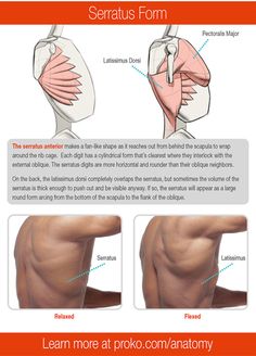 the back and shoulder muscles are shown with instructions to help you learn how to perform